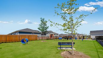 07_Yardly-Cypress_no-breed-restrictions_pet-friendly_dog-park.jpg