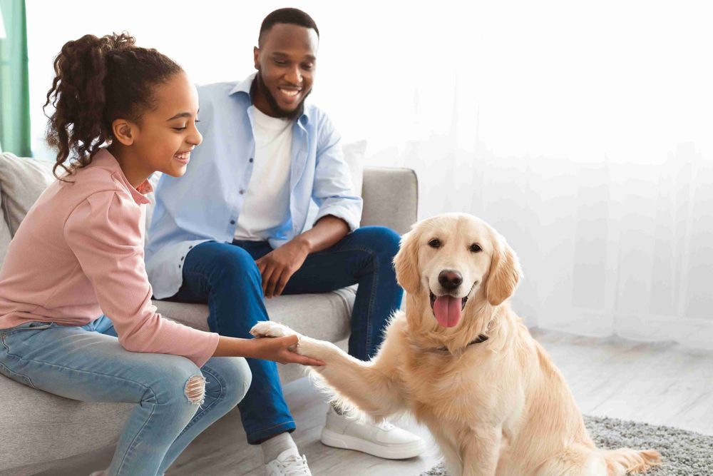 C_Yardly_rental_pet friendly_dog_1964236414-min2.jpg
