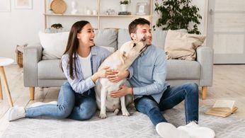 C_Yardly_rental_dog friendly rental_1753023956-min.jpg