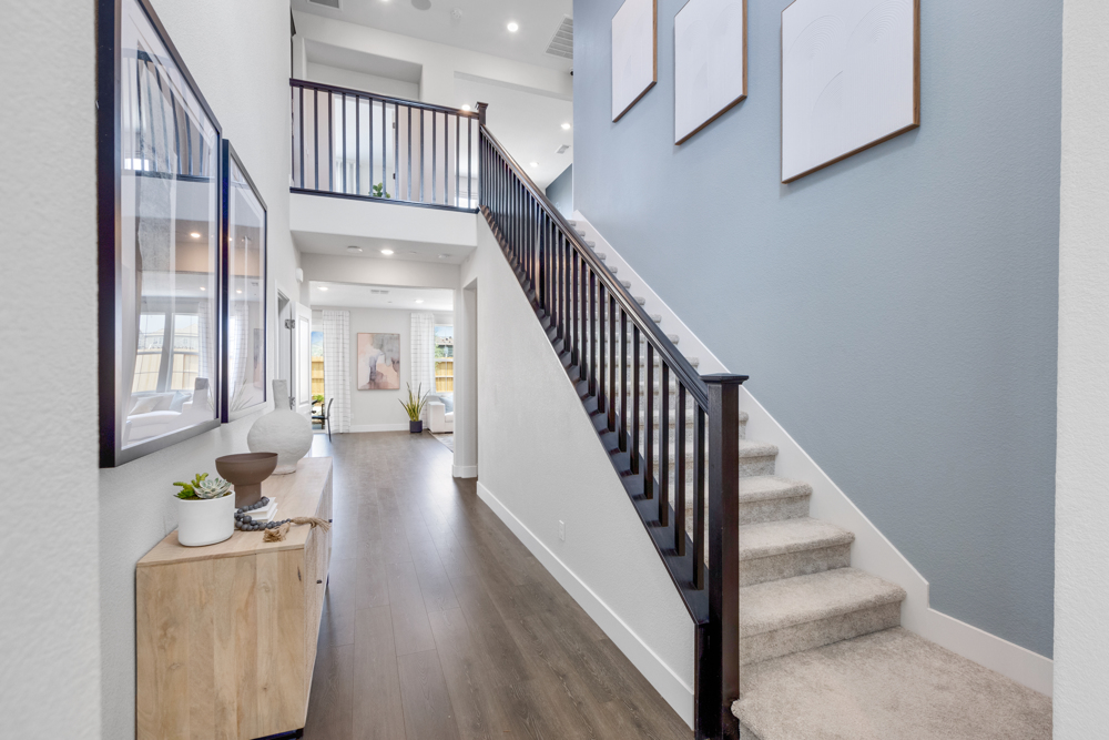 Chloe at Homestead at Madeira Ranch in Elk Grove, CA Taylor Morrison