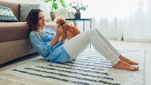 C_Yardly_rental_pet friendly_kitten_1506107966-min.jpg