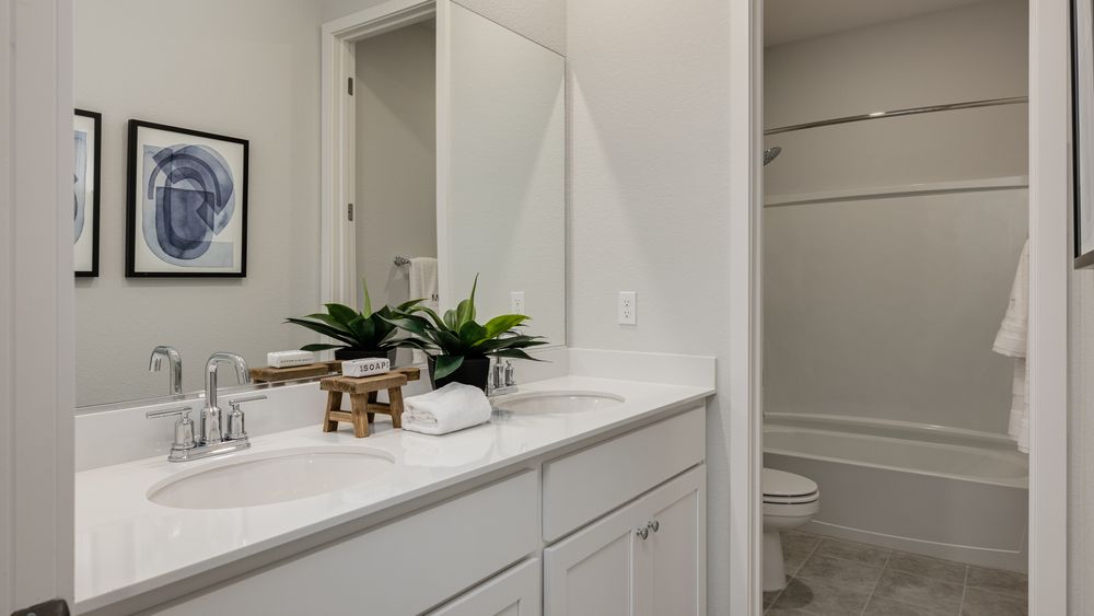 129 Larkspur