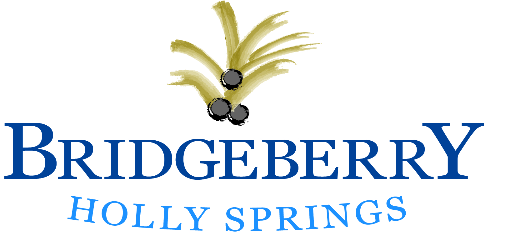 BridgeberryLogo_BLU_FINAL