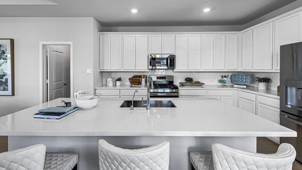 21-TM Model Int-17330 Aster Falls Ct-20231206