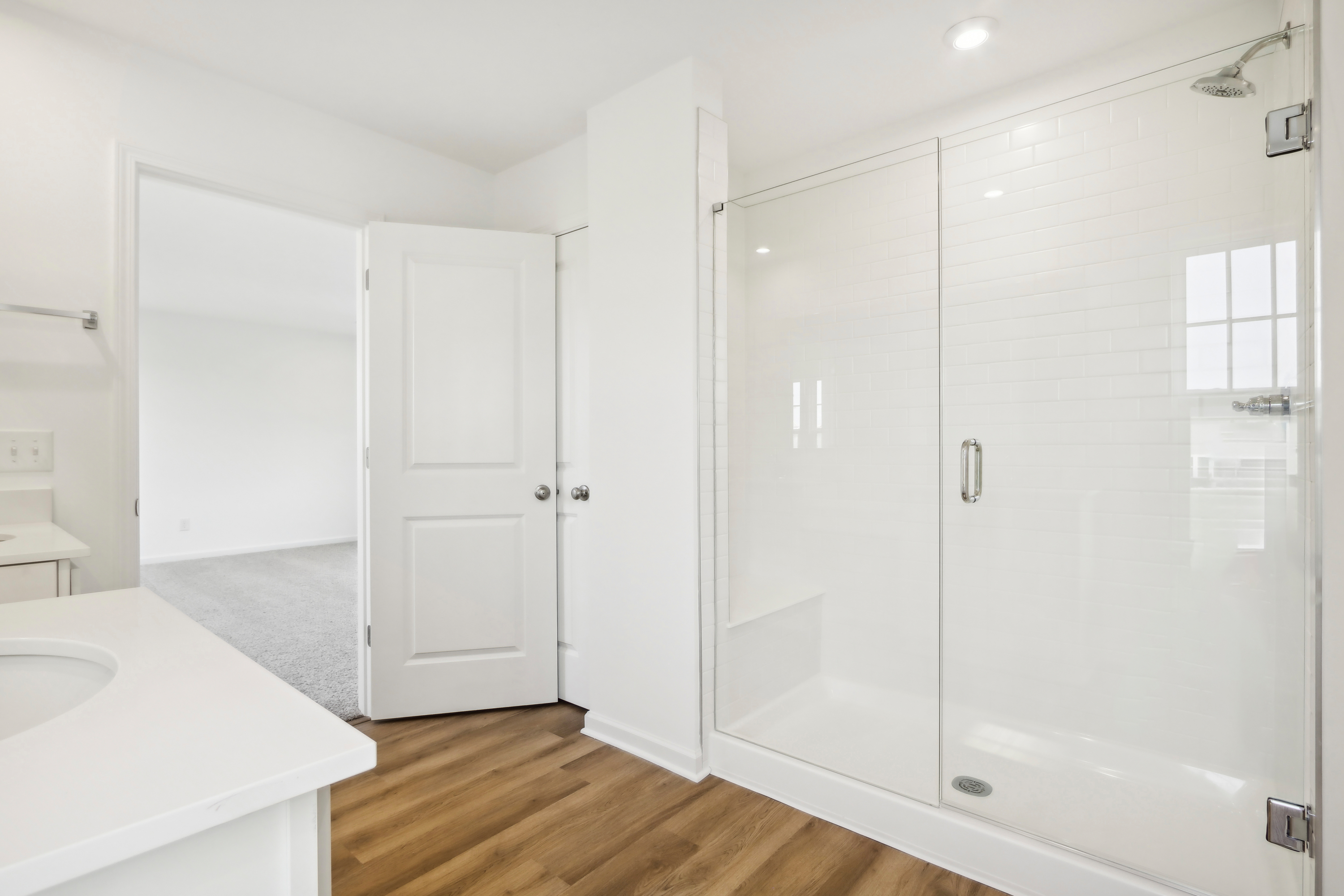 Primary Bathroom Shower