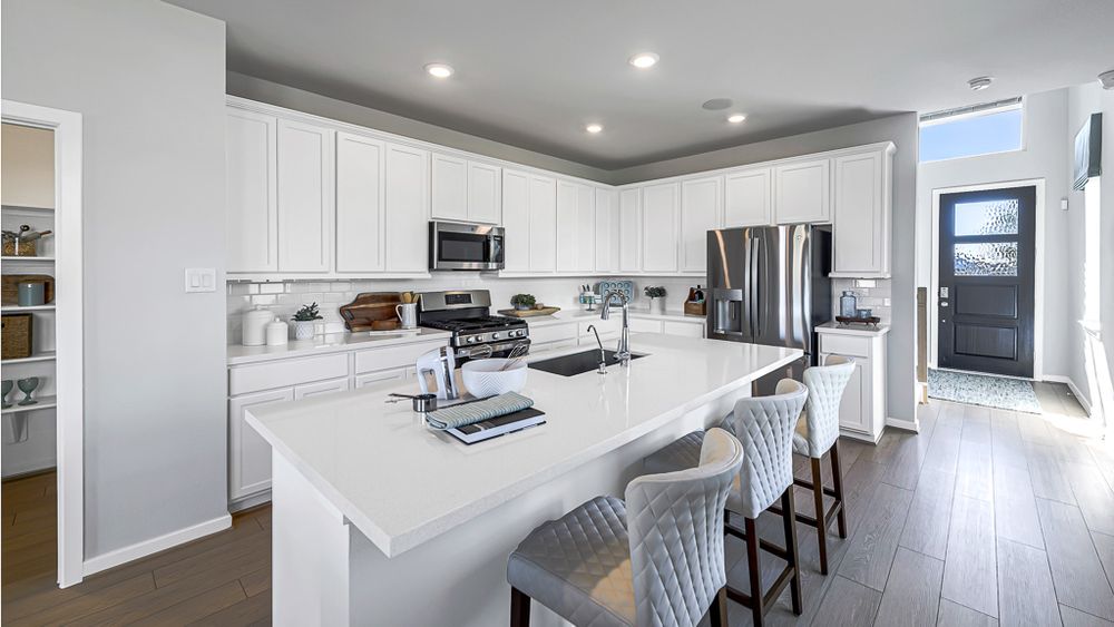 23-TM Model Int-17330 Aster Falls Ct-20231206