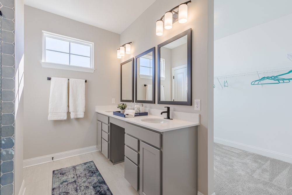 Primary Bathroom Vanity