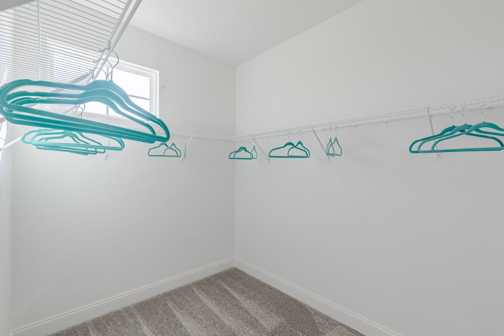 Primary Closet