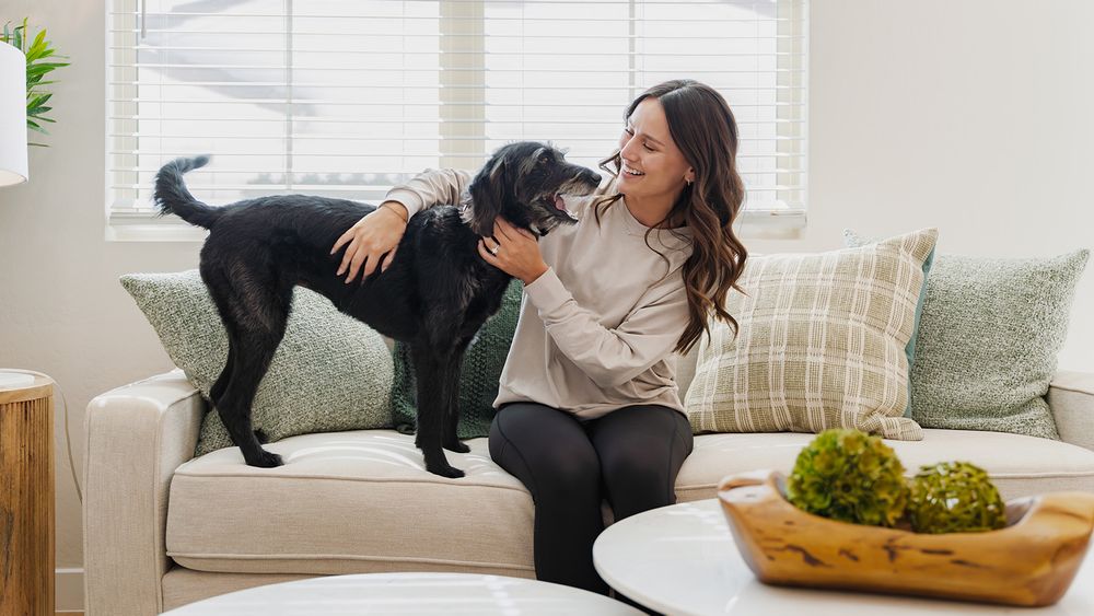 03_pet-friendly_living-room_DSC04088-Edit_sitecore.jpg