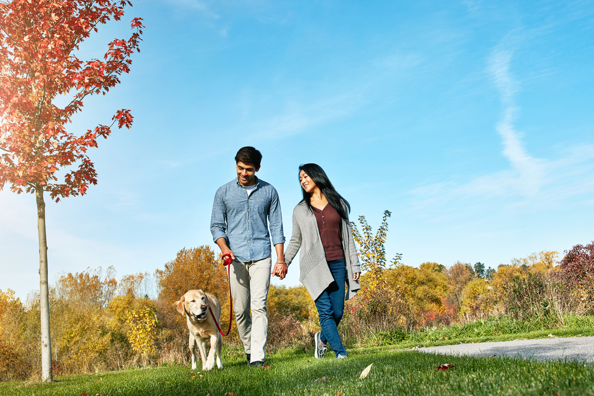 Center Lake Ranch Fall Home Tour Nov 7-9