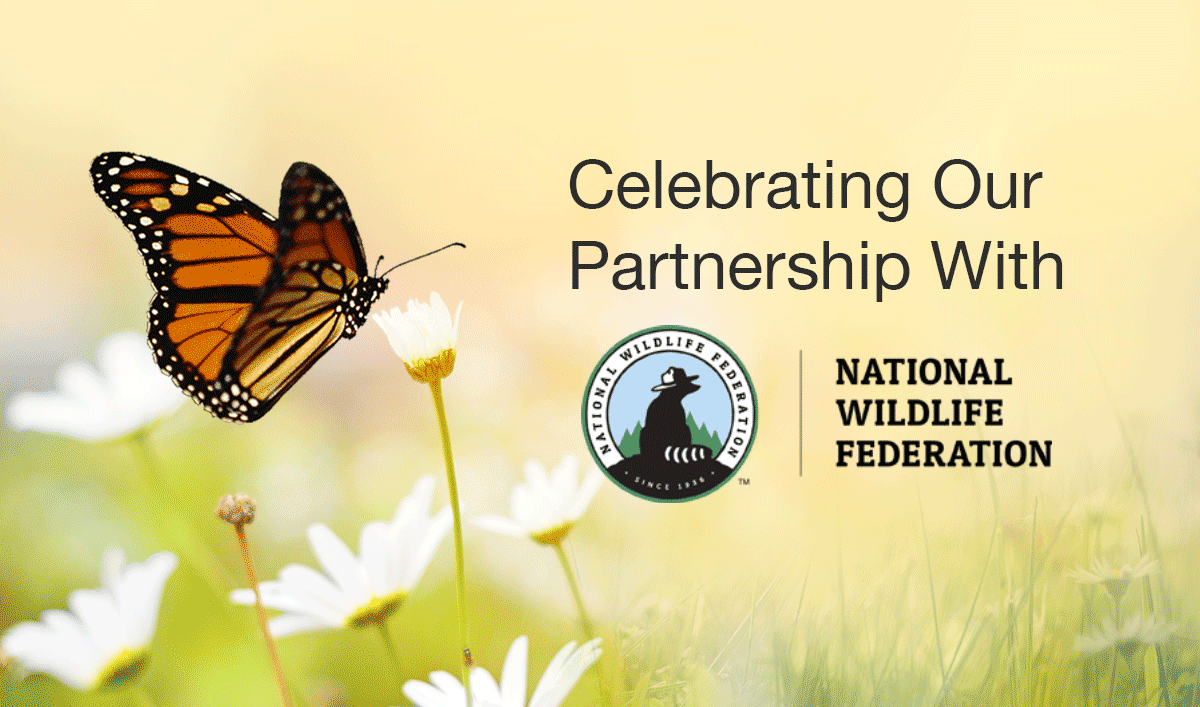 Partnering with the National Wildlife Federation 