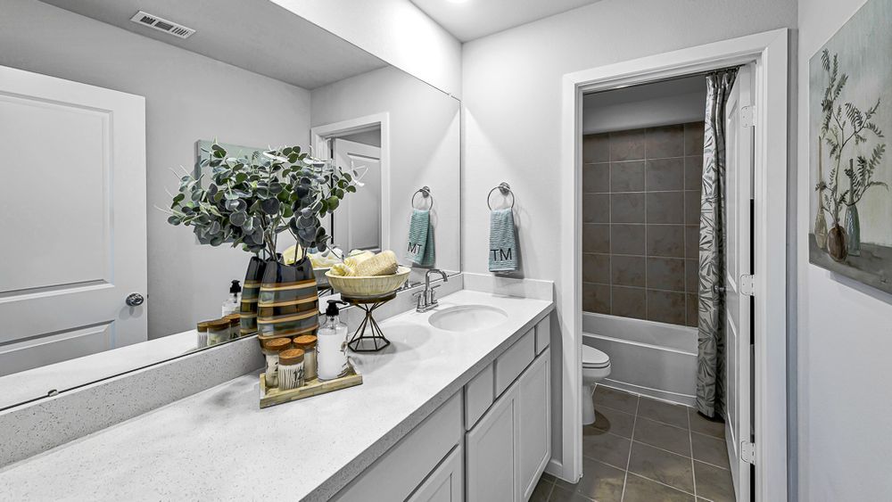 91-TM Model Int-17330 Aster Falls Ct-20231206