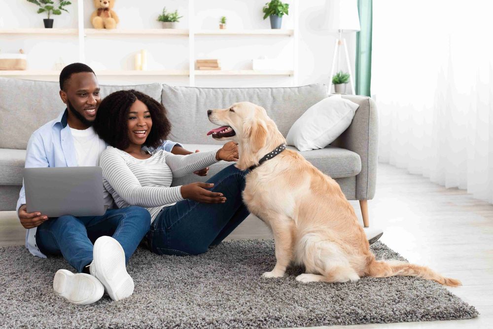 C_Yardly_rental_family pet friendly_2057039561-min2.jpg