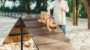 C_Yardly_rental_dog park_amenities_2027171516-min.jpg
