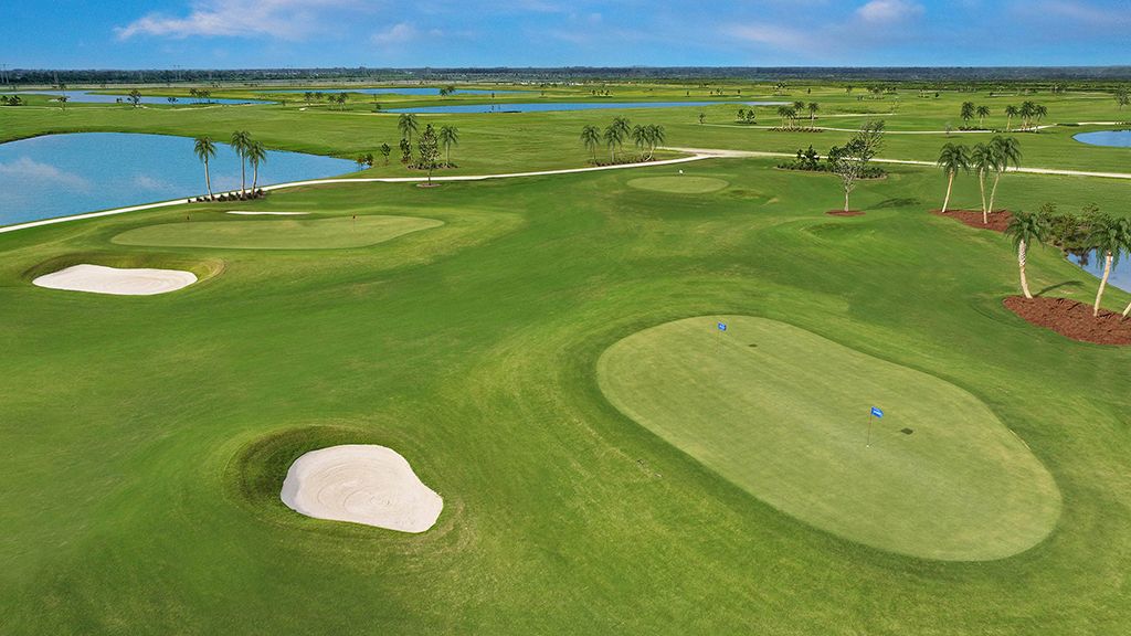 ACCC-Chipping-Green