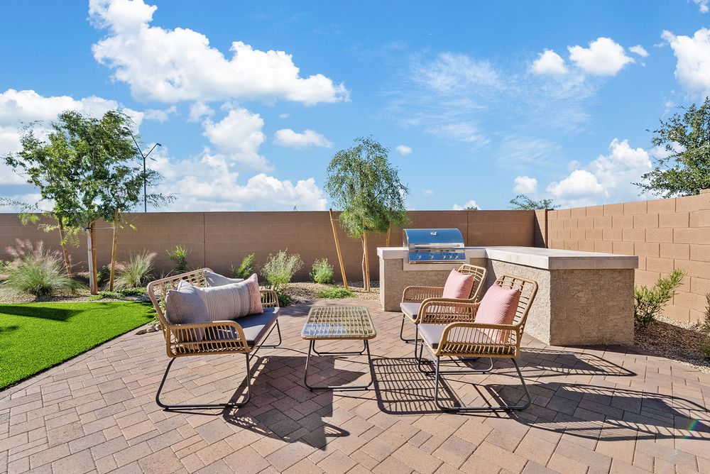 Asante DiscoveryOnyx ModelBackyard 1
