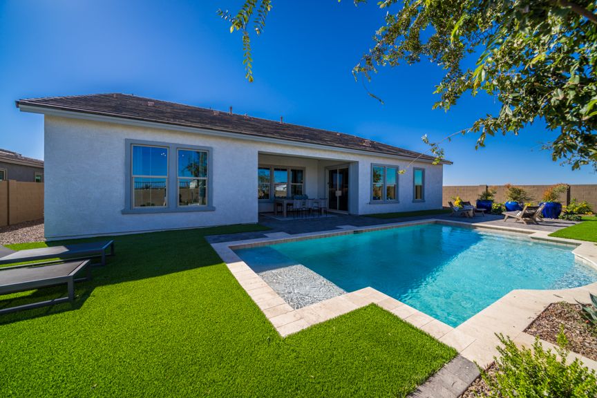 Backyard  2