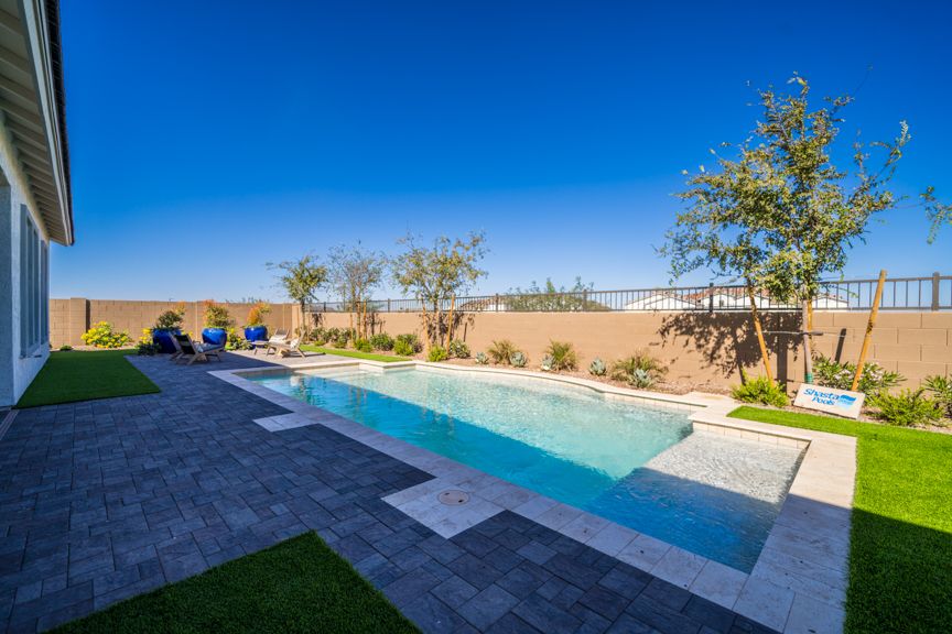 Backyard  3
