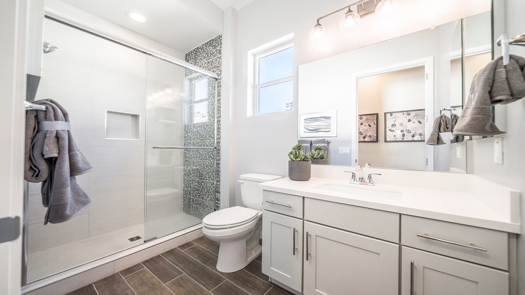 Goodyear, Arizona Homes for Sale at CantaMia at Estrella 55+ Taylor