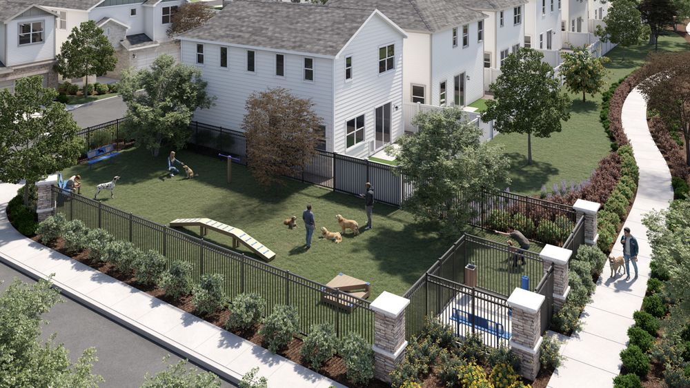 Cluster_Showcase_DogPark_Final