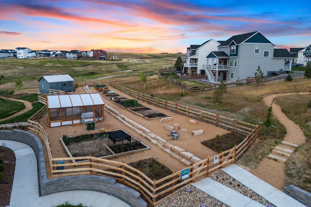Community Garden - Twilight