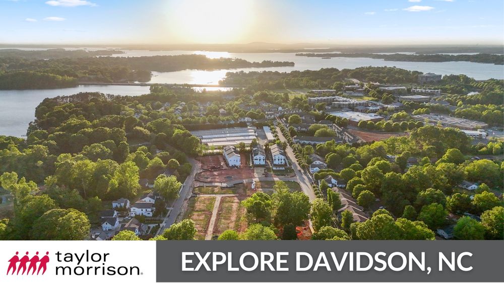 Davidson Area Video