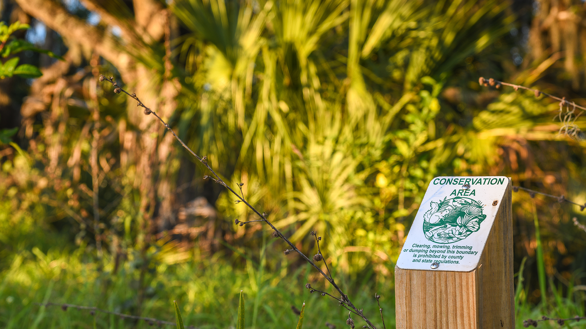 Taylor Morrison Home Gallery Homes for Sale Edgestone at Artisan