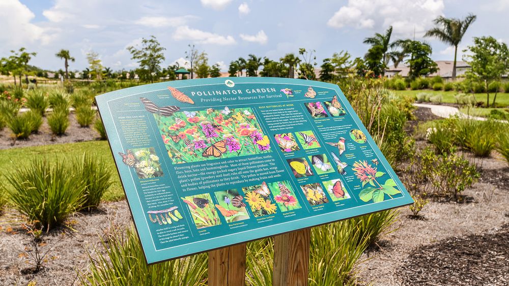 Esplanade-Lake-Club-Amenity-Campus-3575-16x9-butterfly