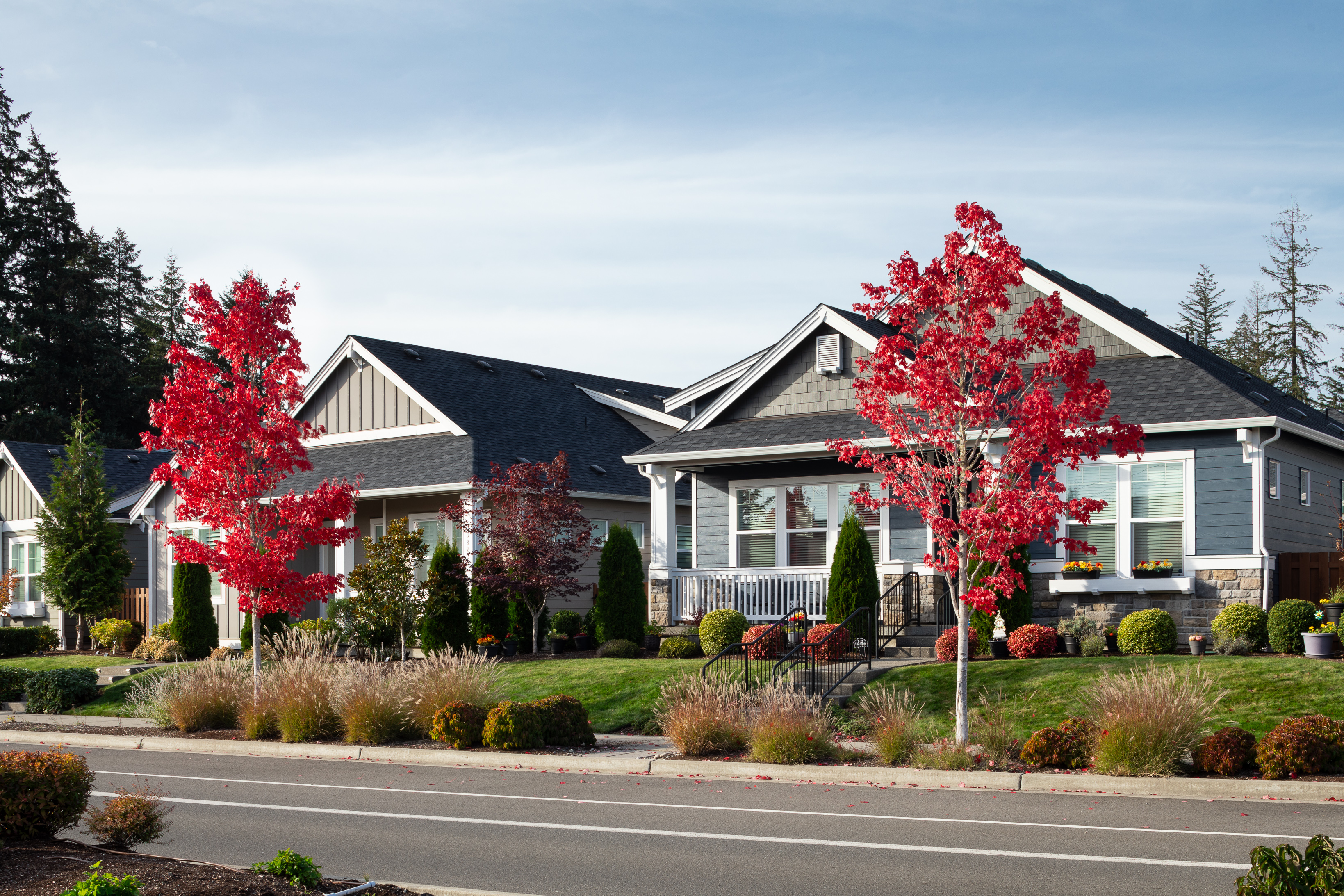 Ovation at Oak Tree Streetscape Fall Colors Two Homes 2024