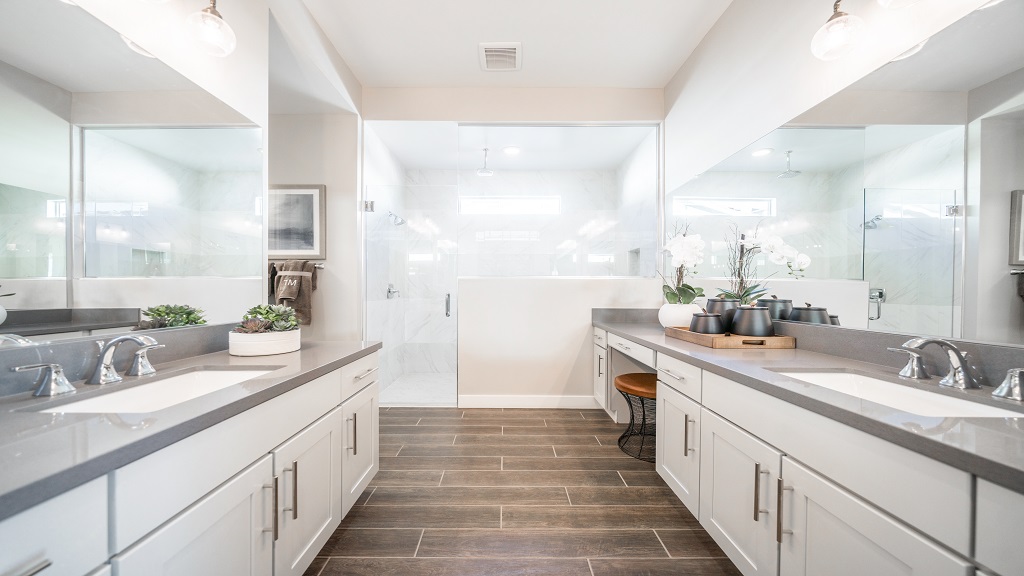 Goodyear, Arizona Homes for Sale at CantaMia at Estrella 55+ Taylor