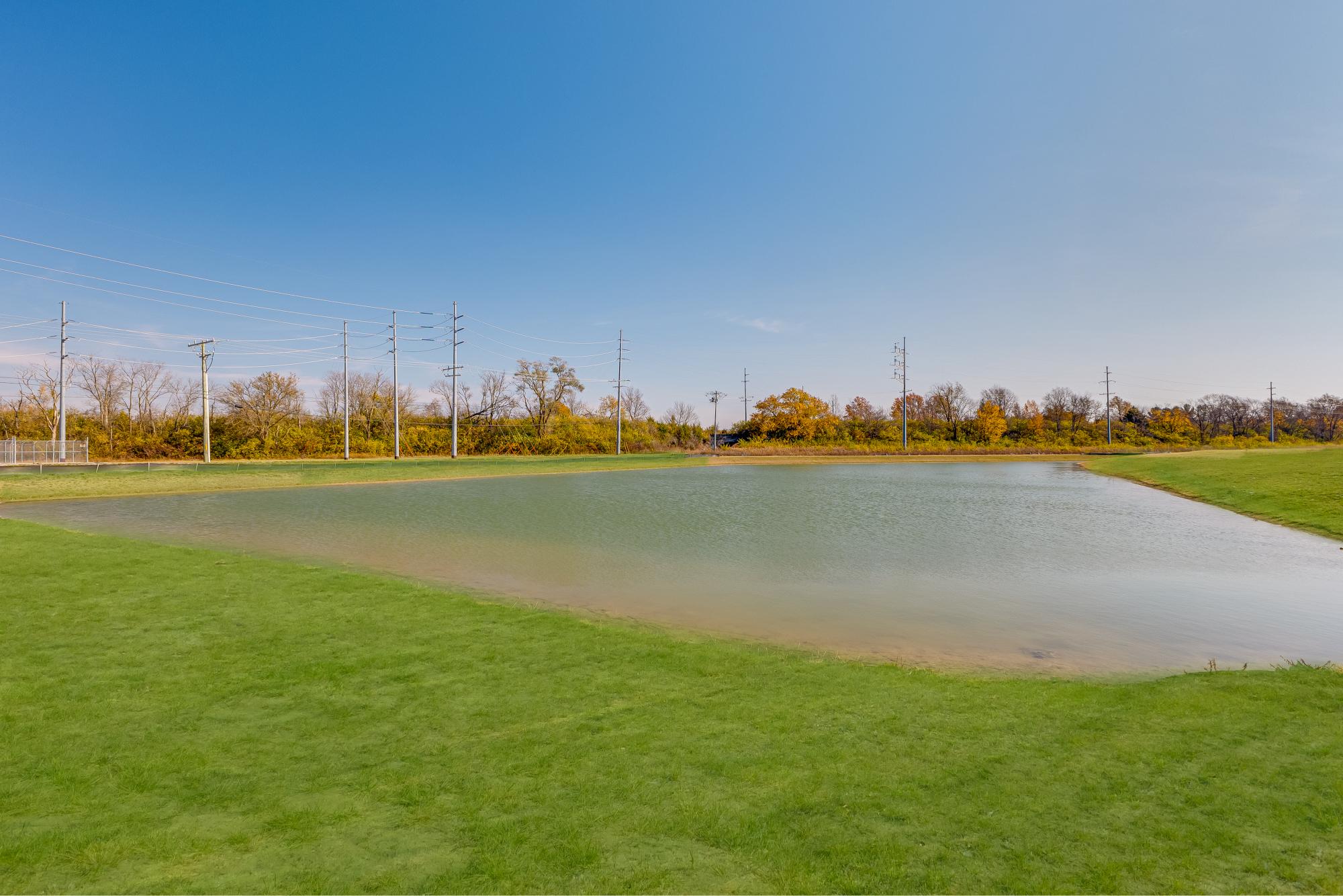 Pond