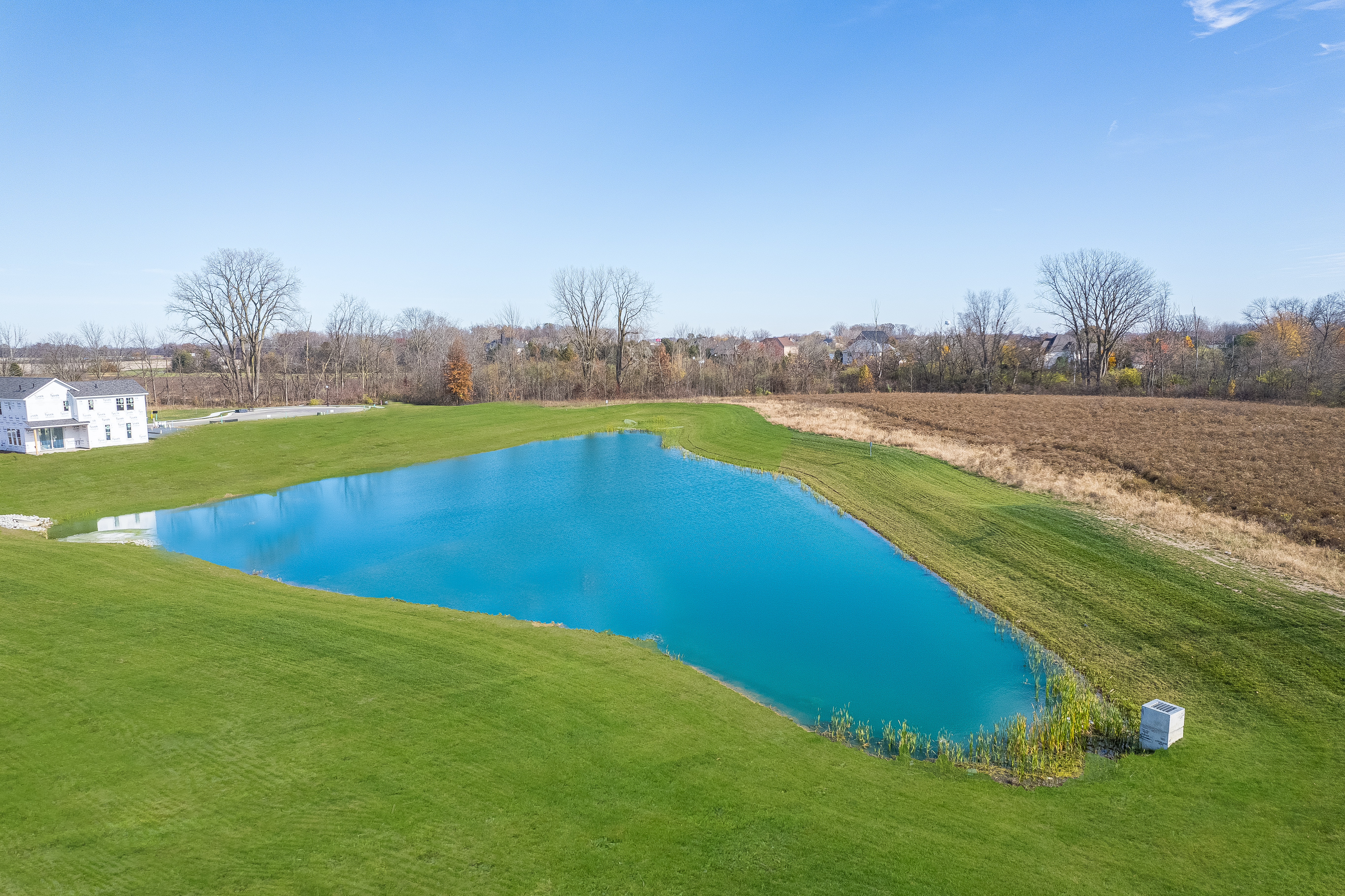 Pond
