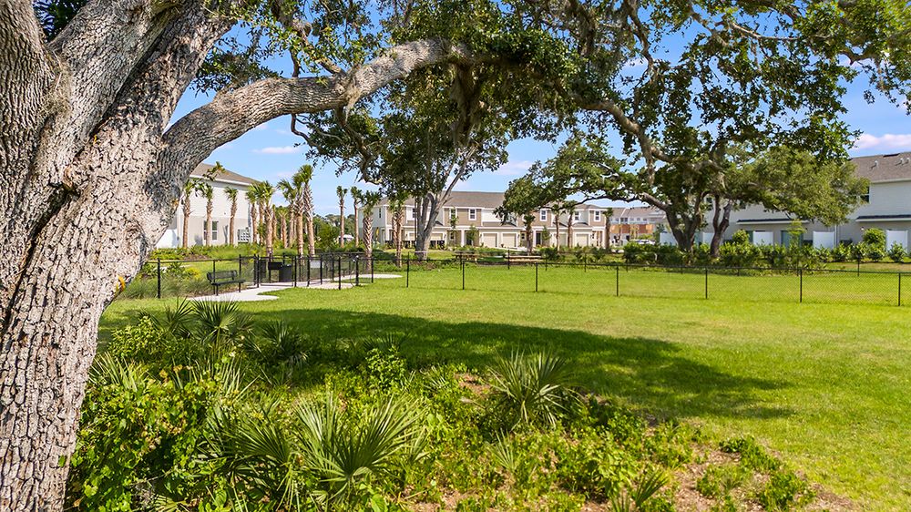Vinterra-Townhome-Amenity-0070-Dog-Park