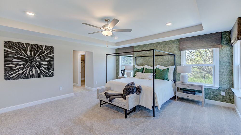 Owner's suite with tray ceiling