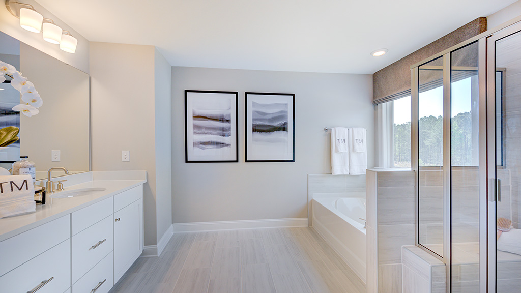 Owner's suite bath