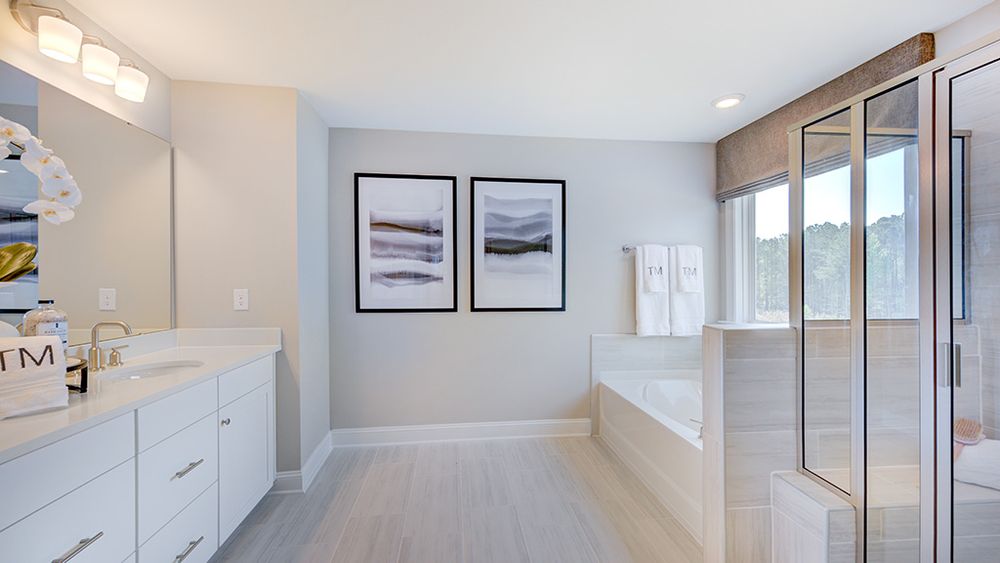Owner's suite bath
