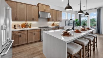 hj-tx-austin-village-grove-lamar-lot-8-kitchen-001.jpg