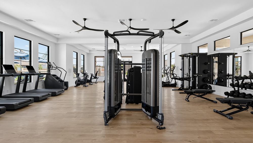 13_fitness-studio_yardly-laveen-spectrum_sitecore.jpg