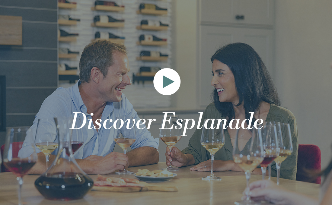 Esplanade Video