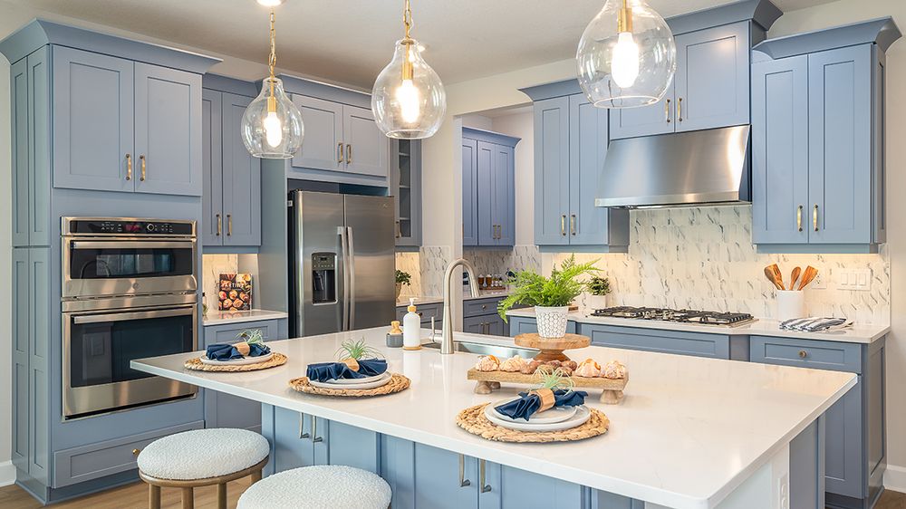 Ardisia-Park-Longboat-2879-1200x675 kitchen