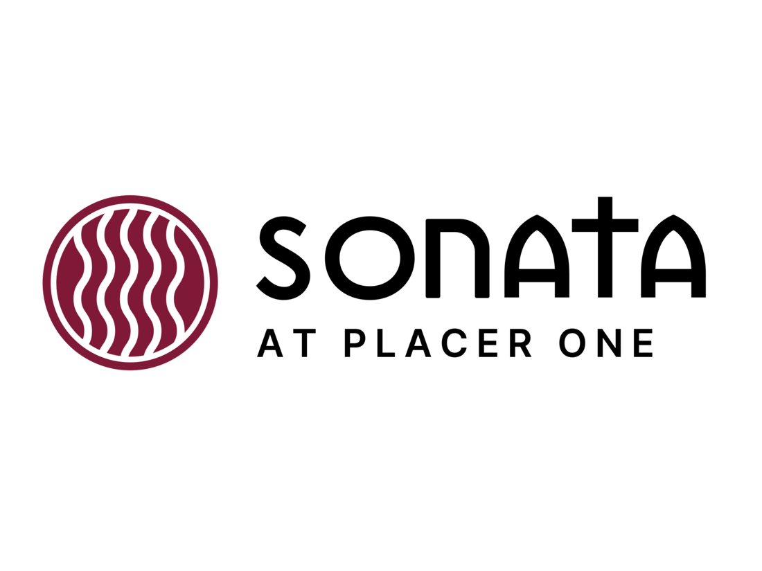 Placer One Logo 091125_Black Sonata.png