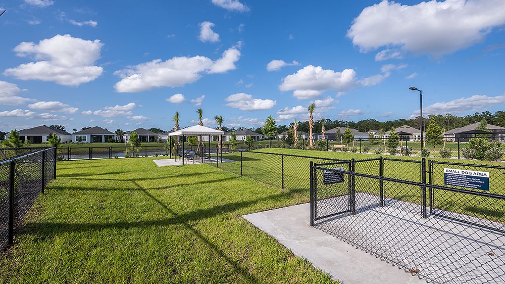 The-Venue-Esp-at-Center-Lake-Ranch dog park.jpg