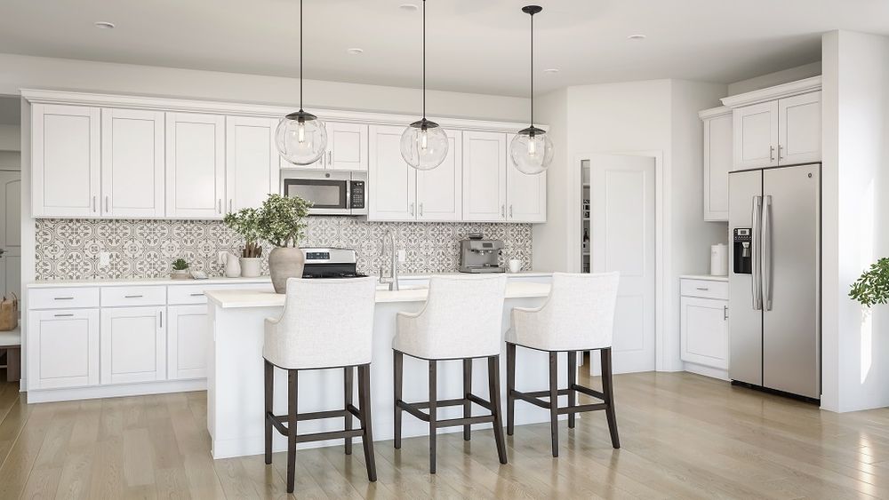 Plan 5 Kitchen Rendering